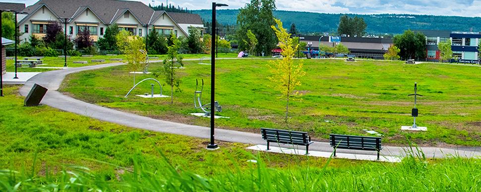 Walking track surrounding a grass field with picnic benches and exercise equipment. 